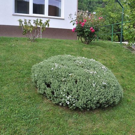 Rezidenca Ervin Ξενοδοχείο Jesenice Εξωτερικό φωτογραφία